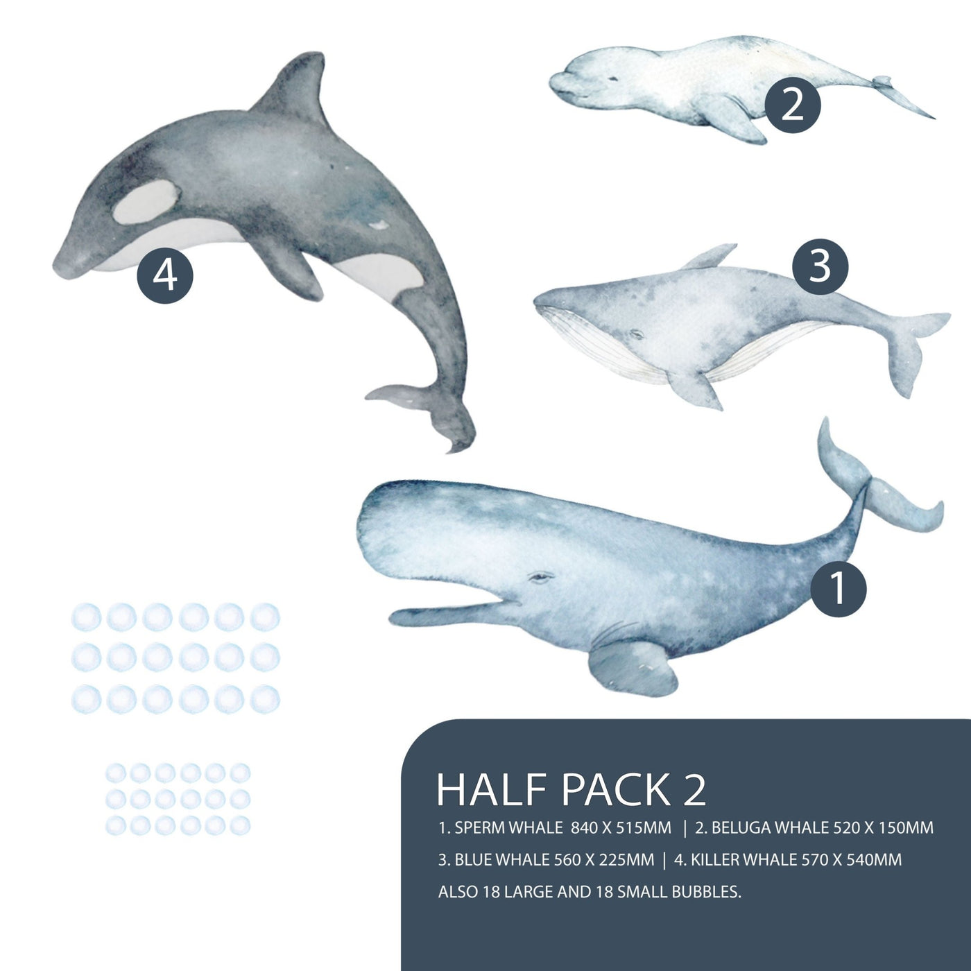 Whales and Bubbles Wall Decals - Jack Harry and Ollie